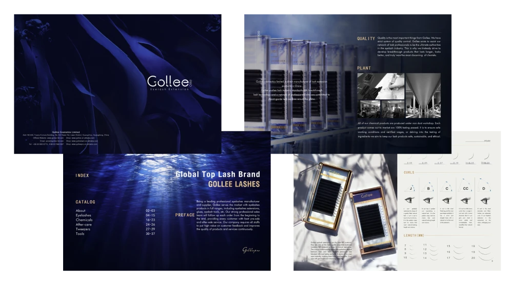 Download Gollee PDF